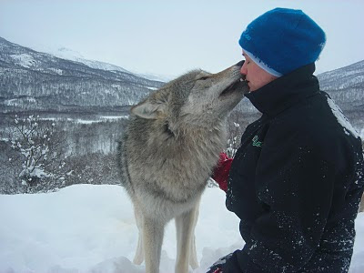wolf kisses