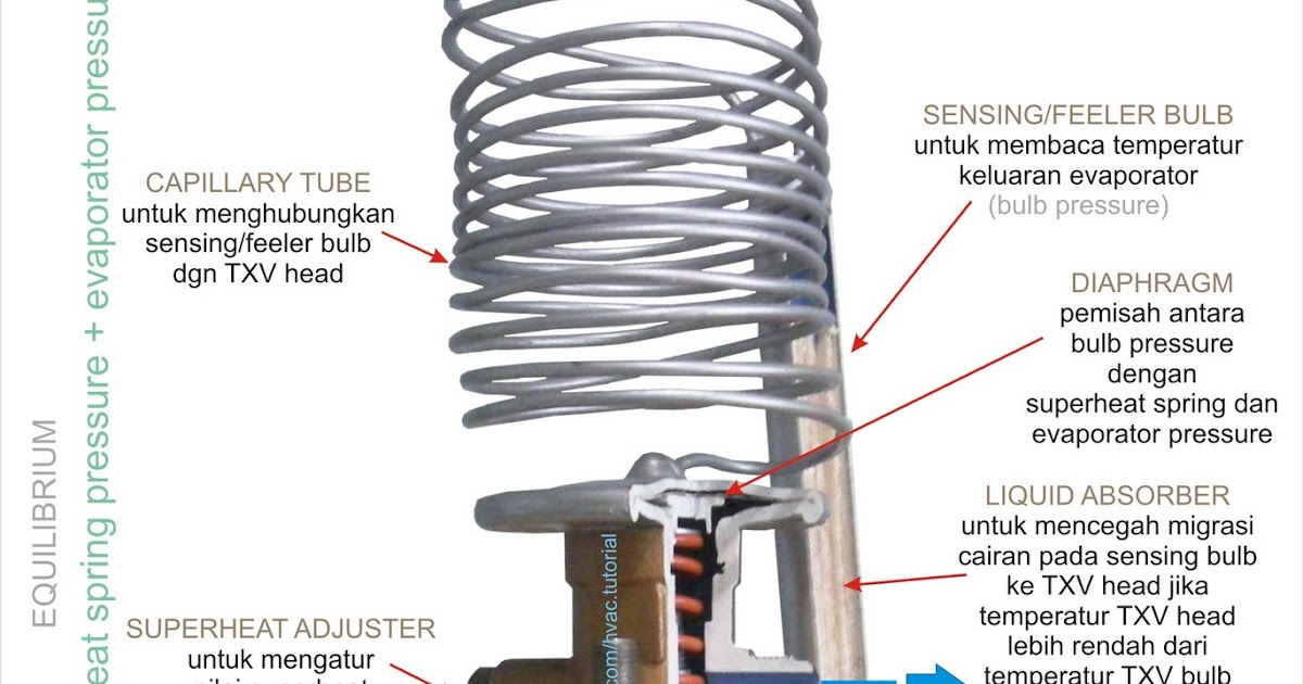 TEACH THERMODYNAMICS SERVICE Thermostatic Expansion Valve (with