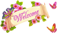 Welcome