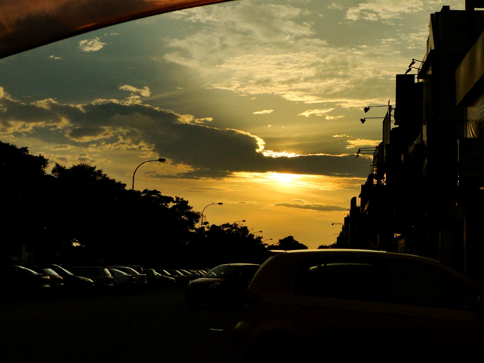 [DSC00299.JPG]