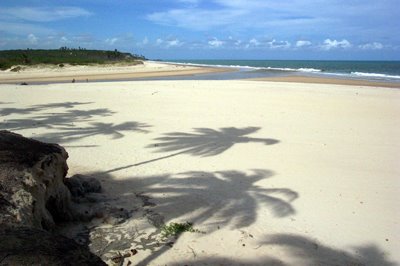 [White-sand-beach.jpg]
