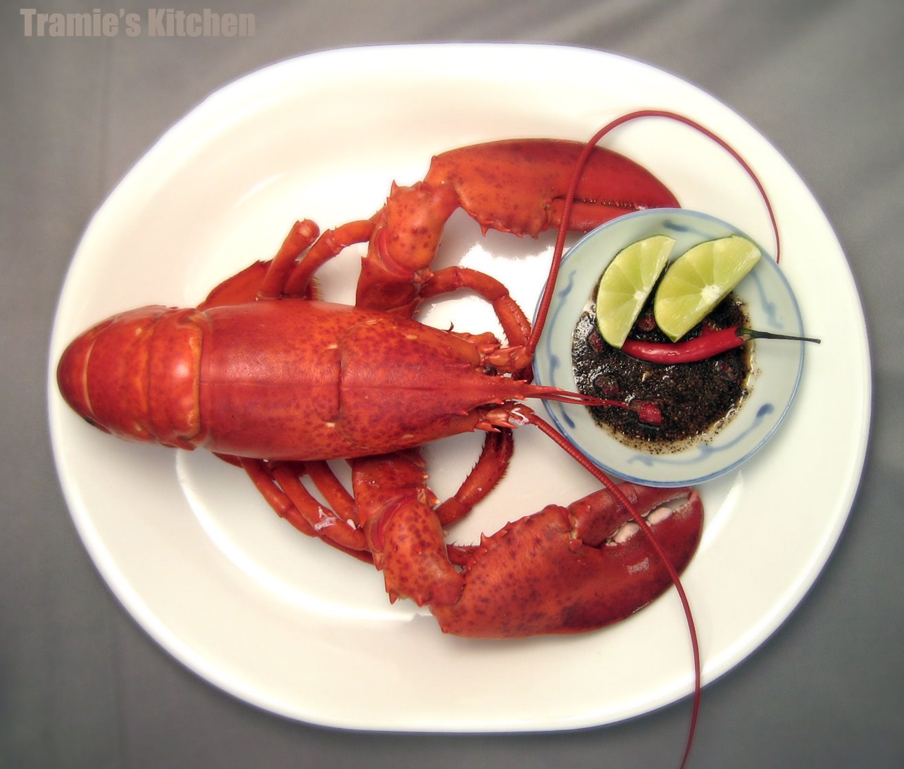 [Lobster_01c.jpg]