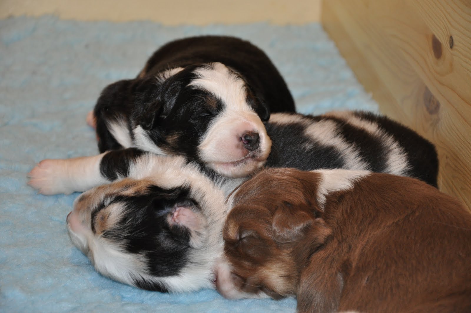 [DSC_0242.JPG]