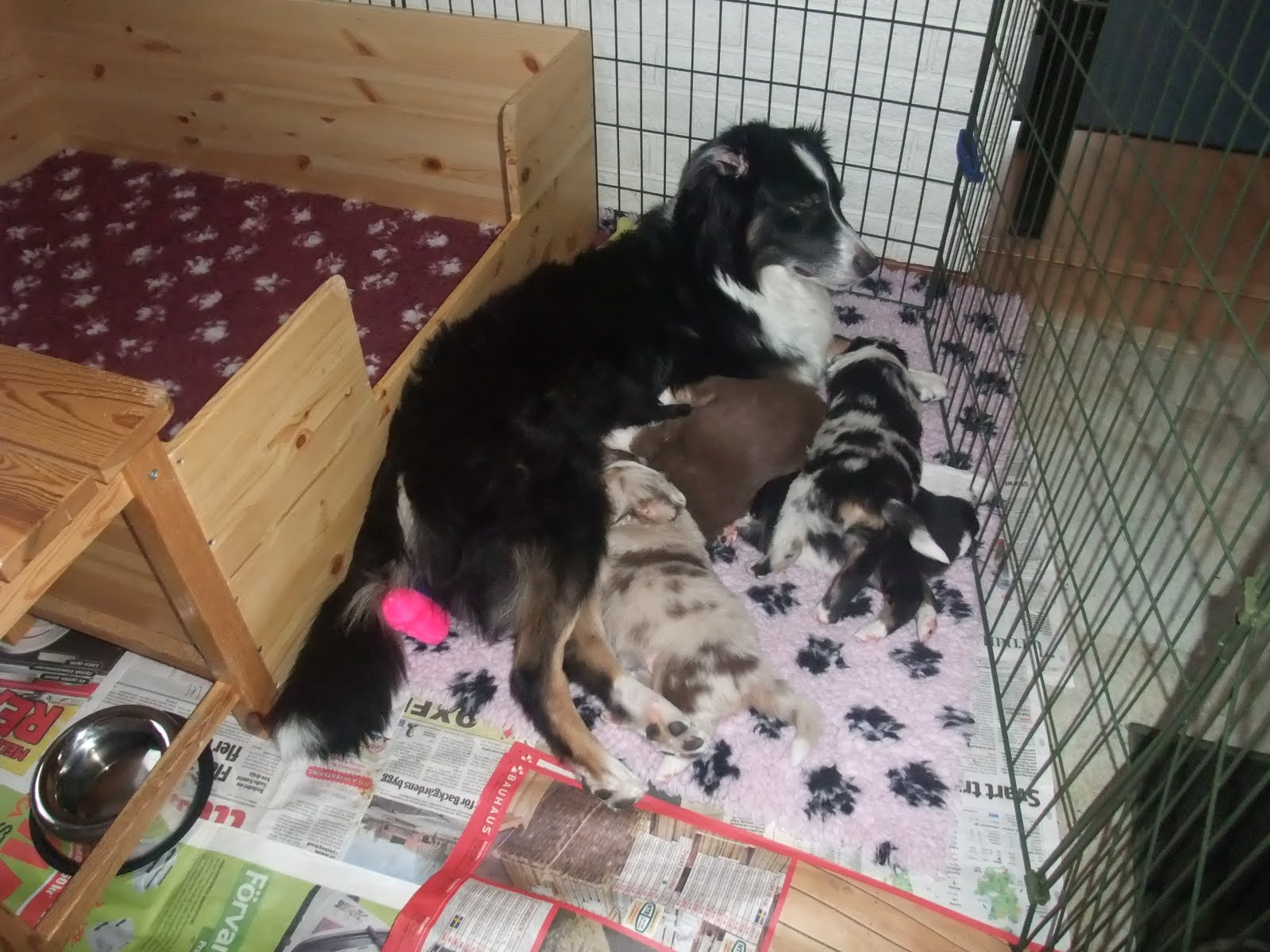 [DSCF3651.JPG]