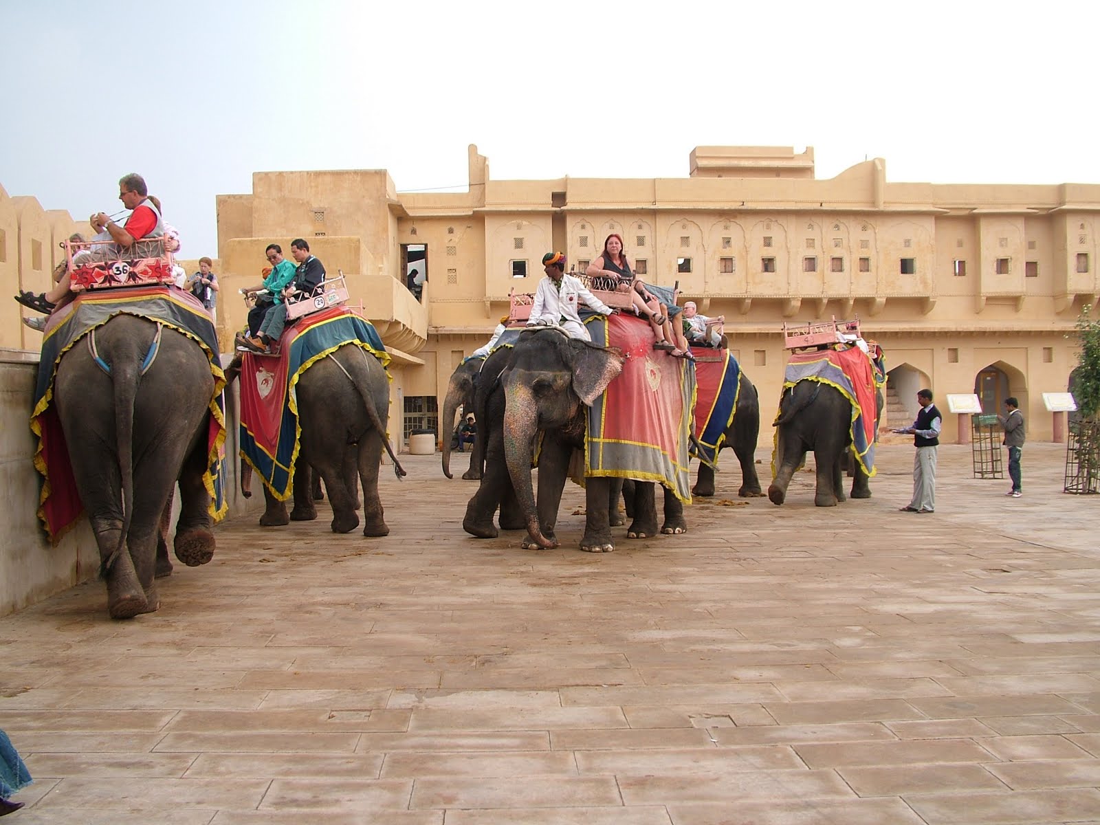 Turnaround Retro Elephant Ride to the Amber (Amer) Fort