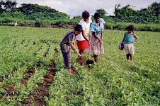 Venezuela y su Ambiente