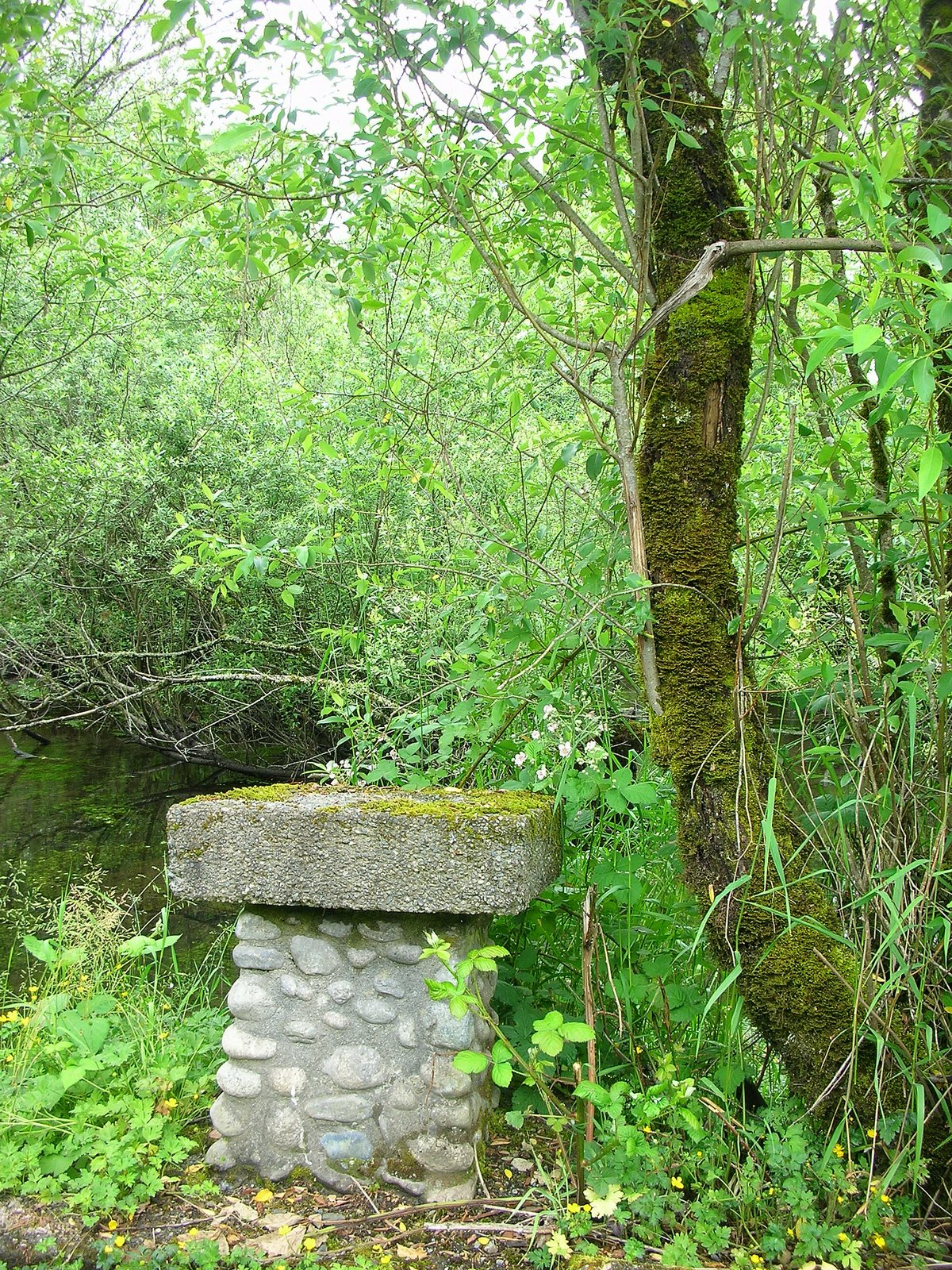 [DSCN7509.JPG]