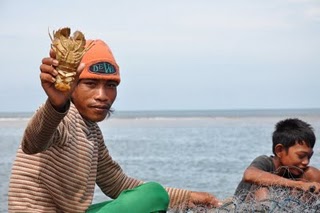UDANG KIPAS MENJADI ANDALAN PULAU SAWI (KETAPANG KALBAR) UDANG KIPAS MENJADI ANDALAN PULAU SAWI (KETAPANG KALBAR)