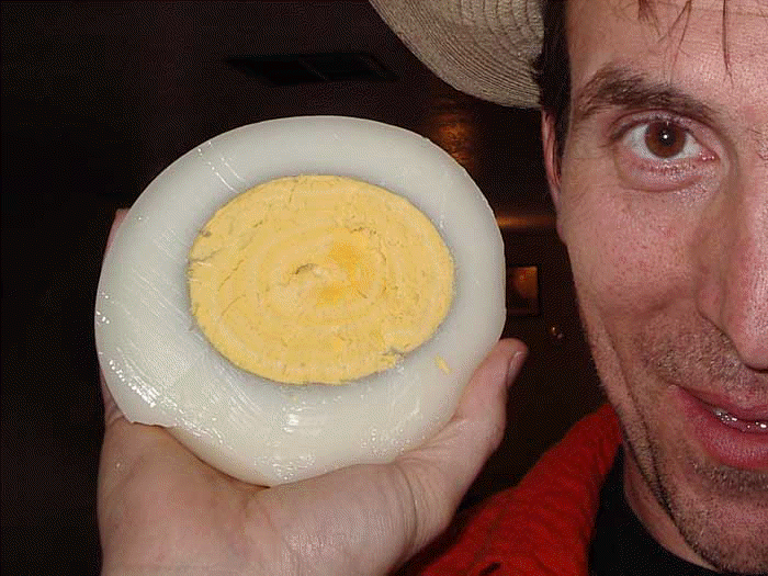 Misc, u 'mirin my egg? Forums