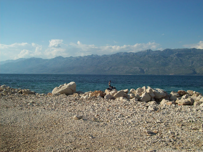 VEDUTA DALLA SPIAGGIA DI RAZANAC