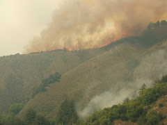 Fire on the Ridges