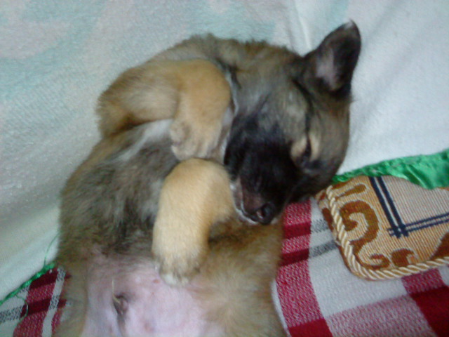 [DSC00006.JPG]