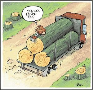 [desmatamentoJEANqua14.jpg]