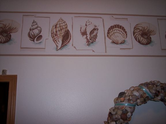 [shell+border.jpg]