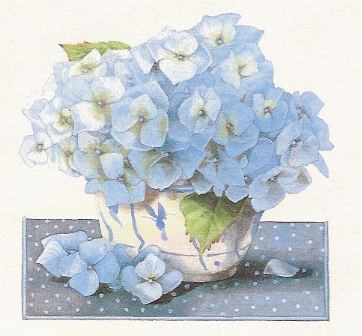 [blue+hydrangea.jpg]