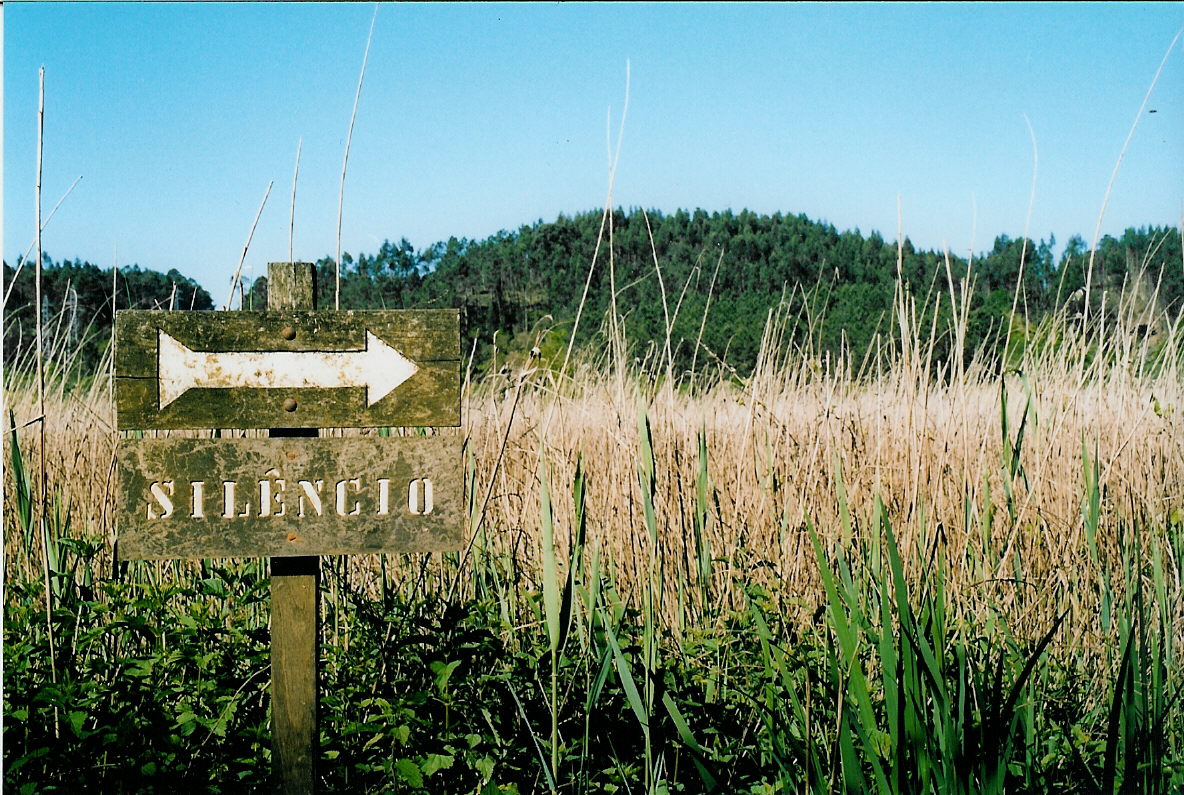 [Silencio.jpg]