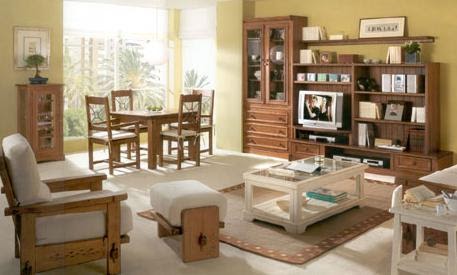 Como quitar manchas de muebles y alfombras - Mujer56