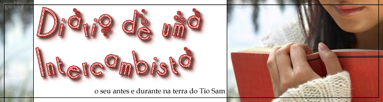 Diário de uma Intercambista