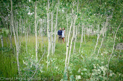 crested-butte-wedding-photography