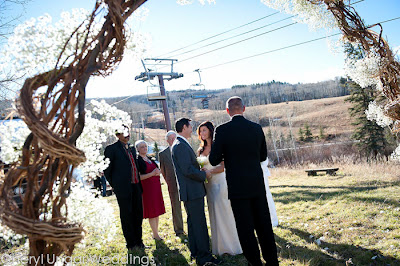 Cheryl-Ungar-Beaver-Creek-wedding-photographer