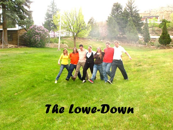 The Lowe-Down
