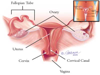 Banyak-Anal Sex, apparently feeling pain and then no longer want to repeat ... Banyak-Anal Sex, apparently feeling pain and then no longer want to repeat ...