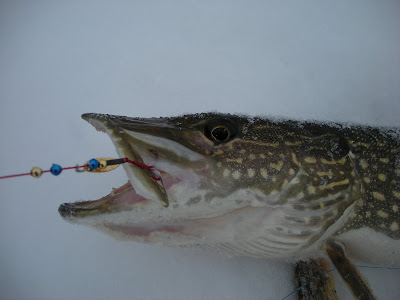 More ice fishing - Vermillion Bay Lodge