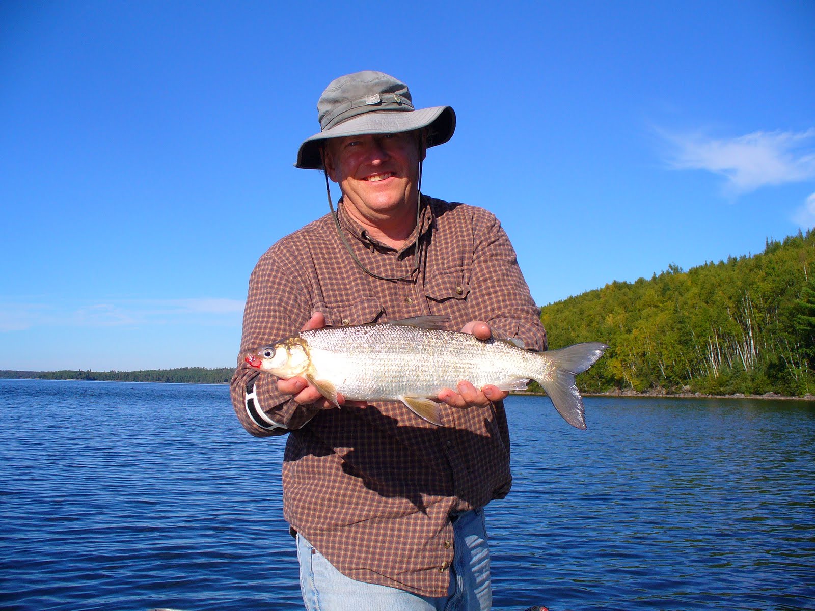 The Wiley Whitefish. - Vermillion Bay Lodge