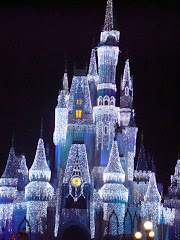 Christmas 2007 @ Disney World
