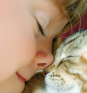 Kedi Medi Ocak 2008