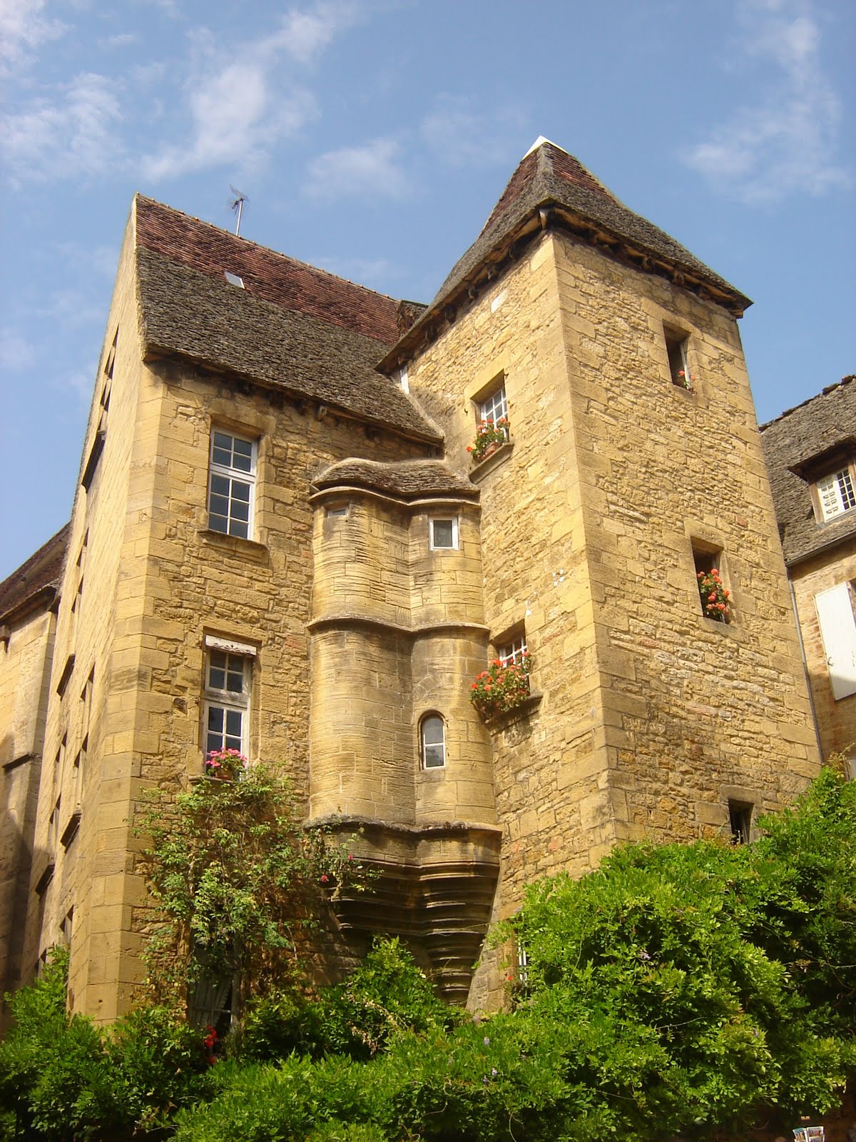 [DSC06530.JPG]