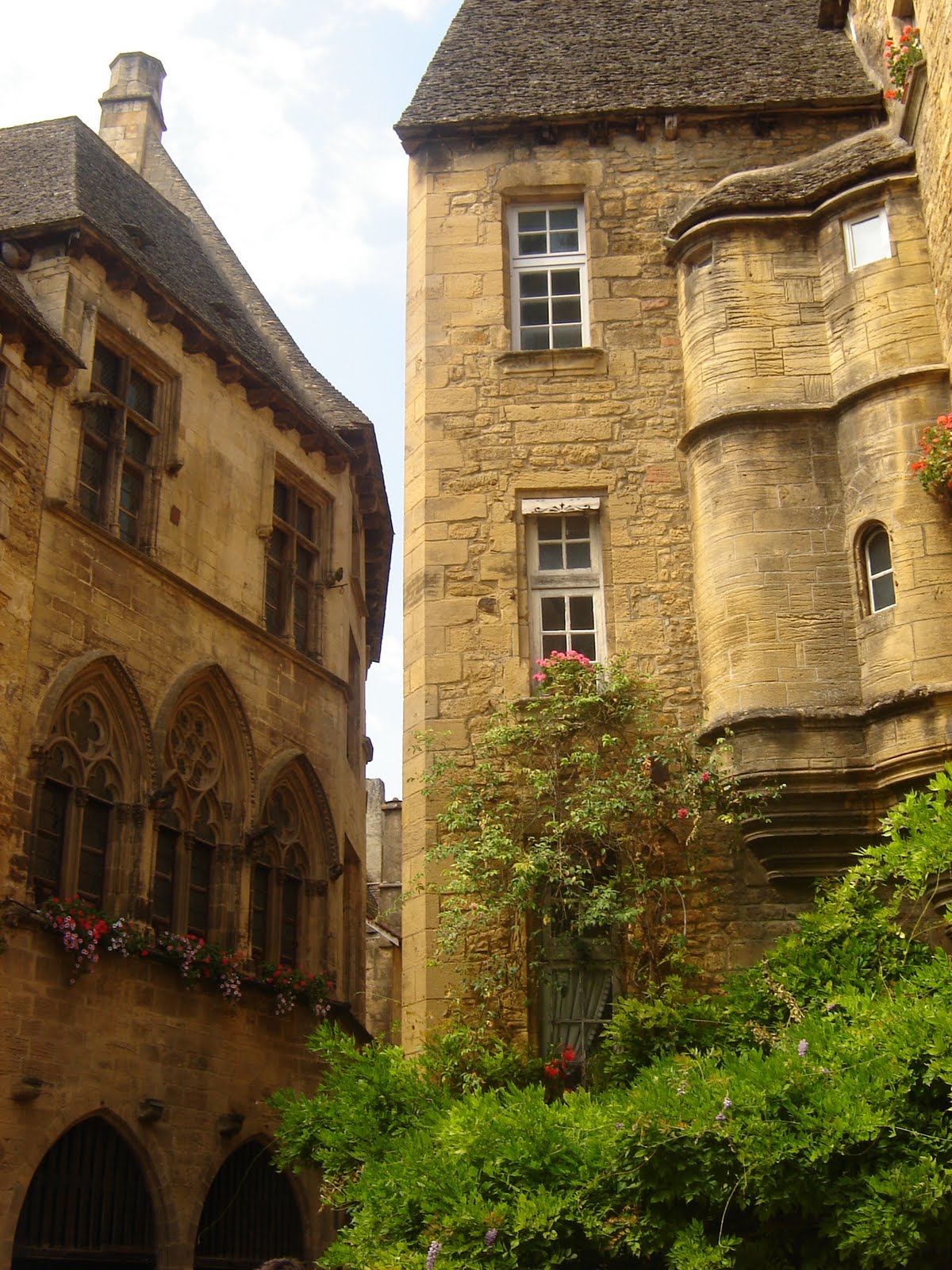 [DSC06532.JPG]
