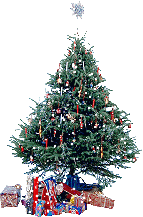 [natal.gif]