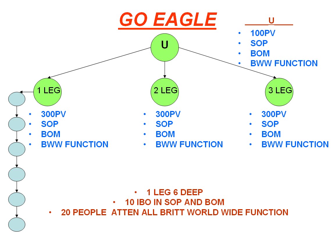 Amway business opportunity picture