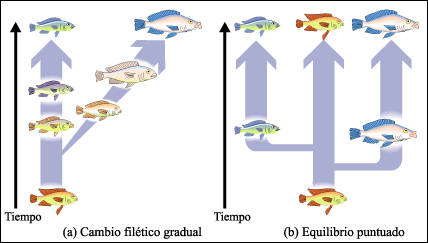 Especiacion Alopatrica