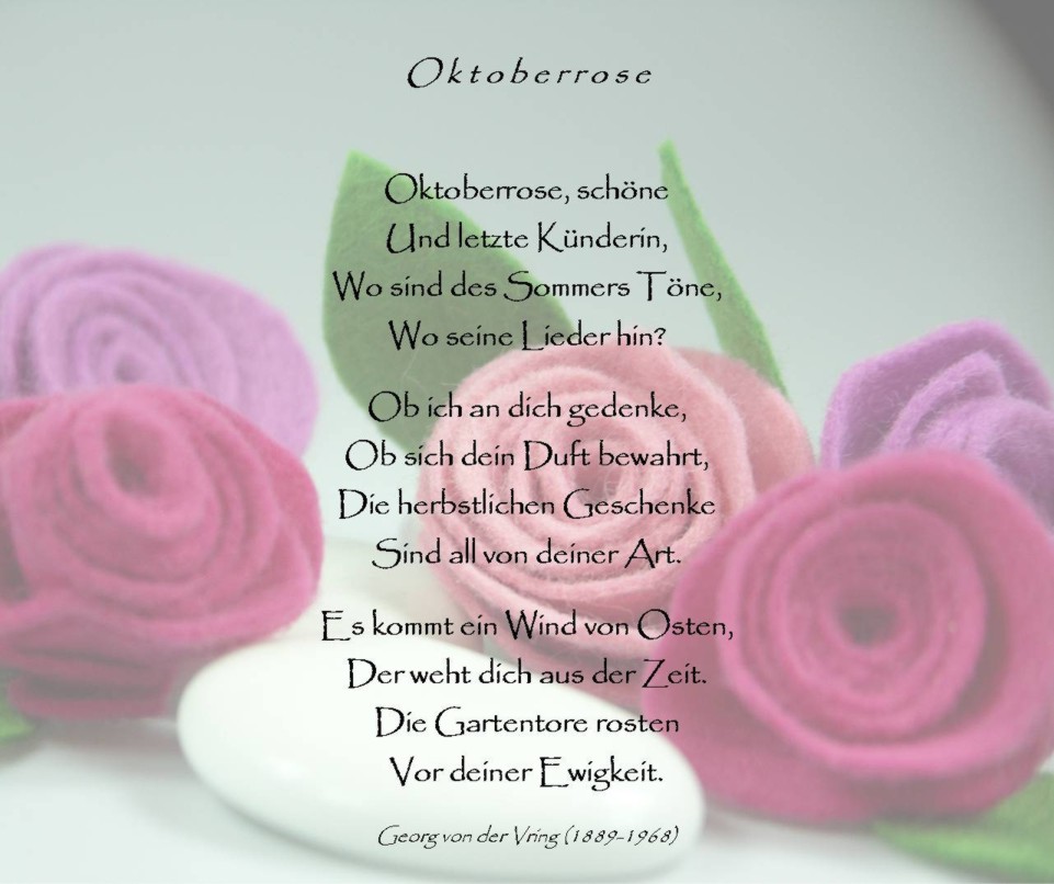 Perlenspiegel Eine Rose Ist Eine Rose Ist Eine Rose