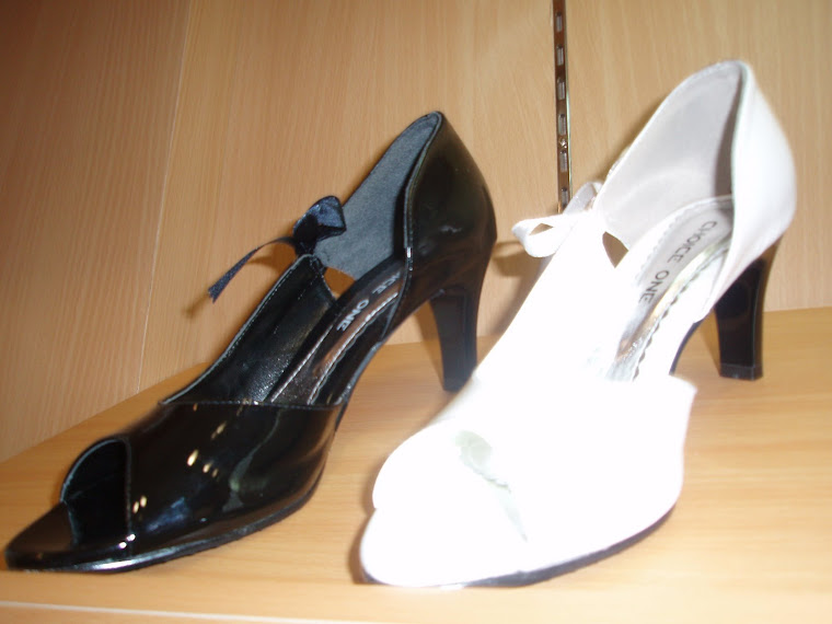 Ladies Shoe