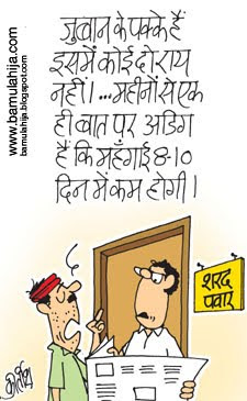 Humor, Cartoons, Hindi Cartoon, Indian Cartoon, Cartoon on Indian Politics  by Kirtish Bhatt: कार्टून : इस बात के लिए तो शरद पवार को दाद देनी पड़ेगी