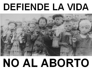 TODA VIDA ES SAGRADA