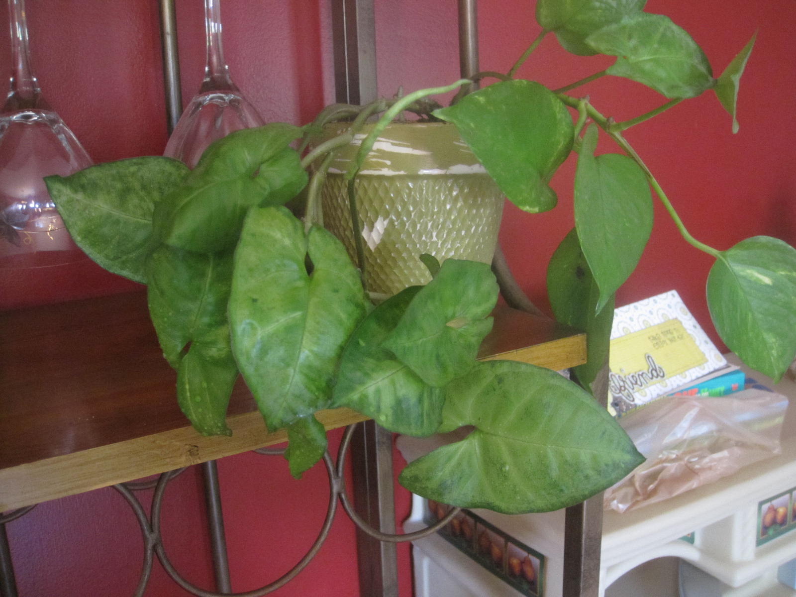 Baby Bennington The Amazing Recycling Plant