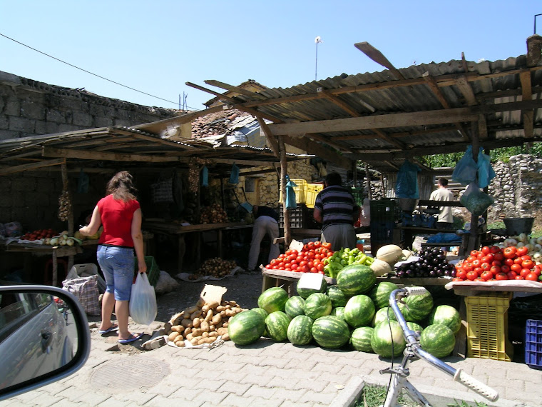 albania 2008