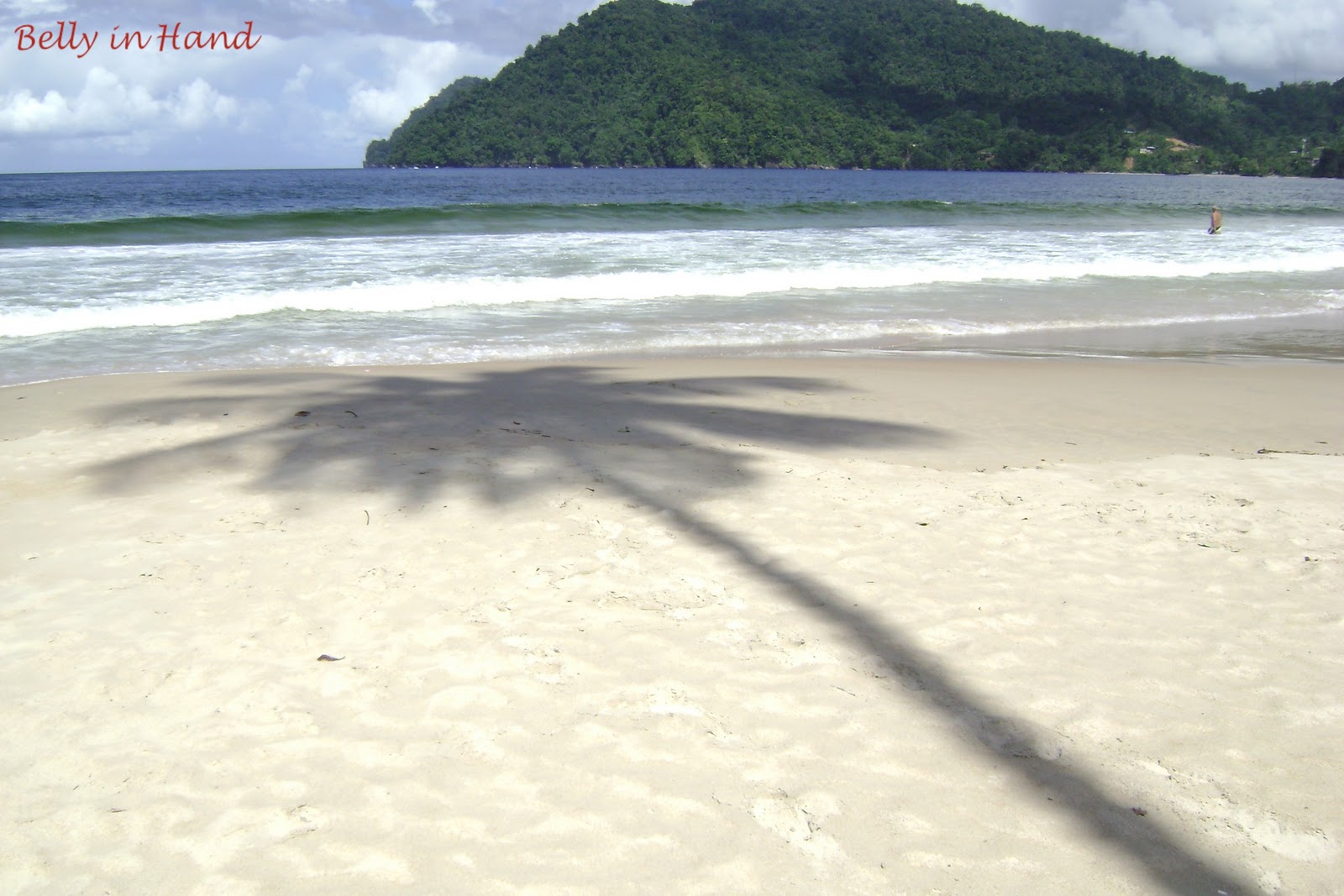 Belly in Hand The Best Fish Sandwich Ever