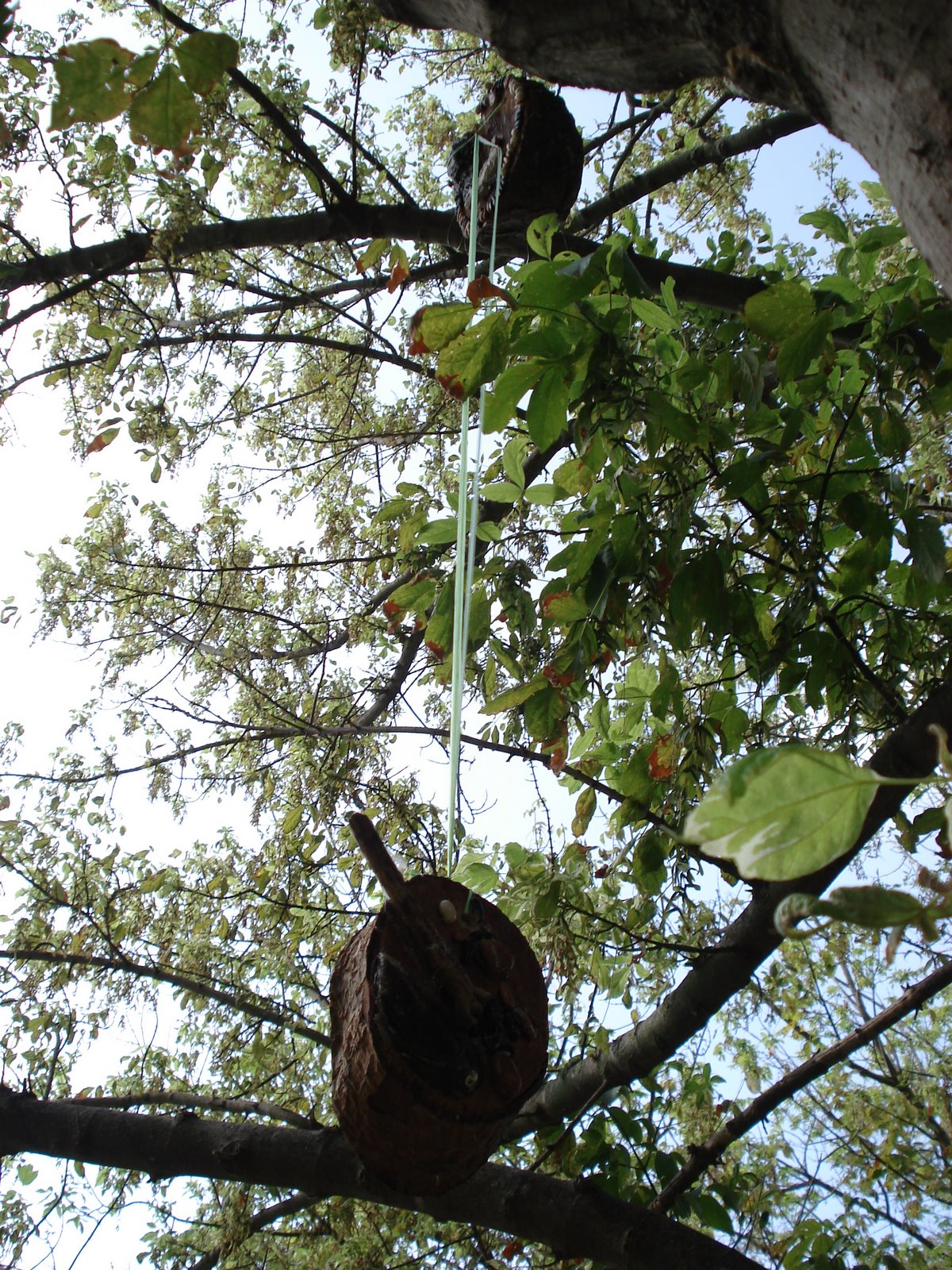 [DSC06247.JPG]