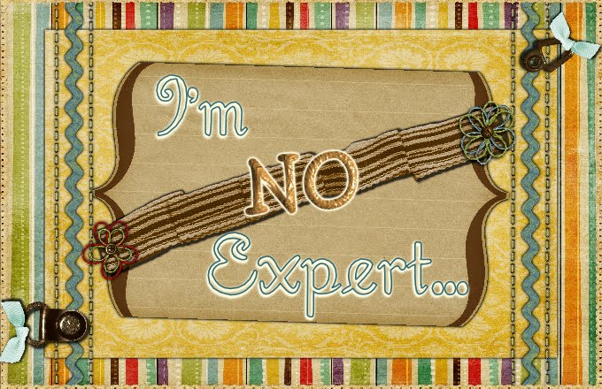 I'm No Expert...