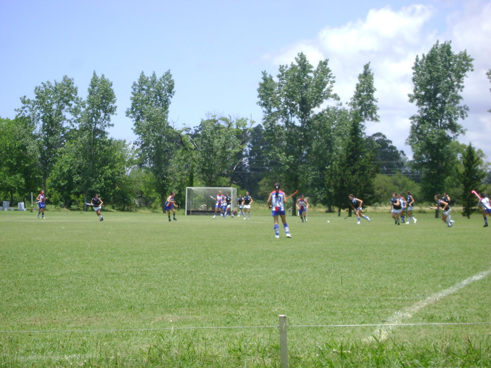 [DSC03267.JPG]