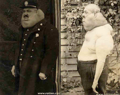 Bar Stool Racer Bar Stool Racer