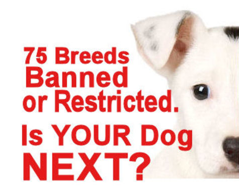 Banning breeds doesn't help people or dogs!
