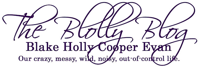 The Blolly Blog