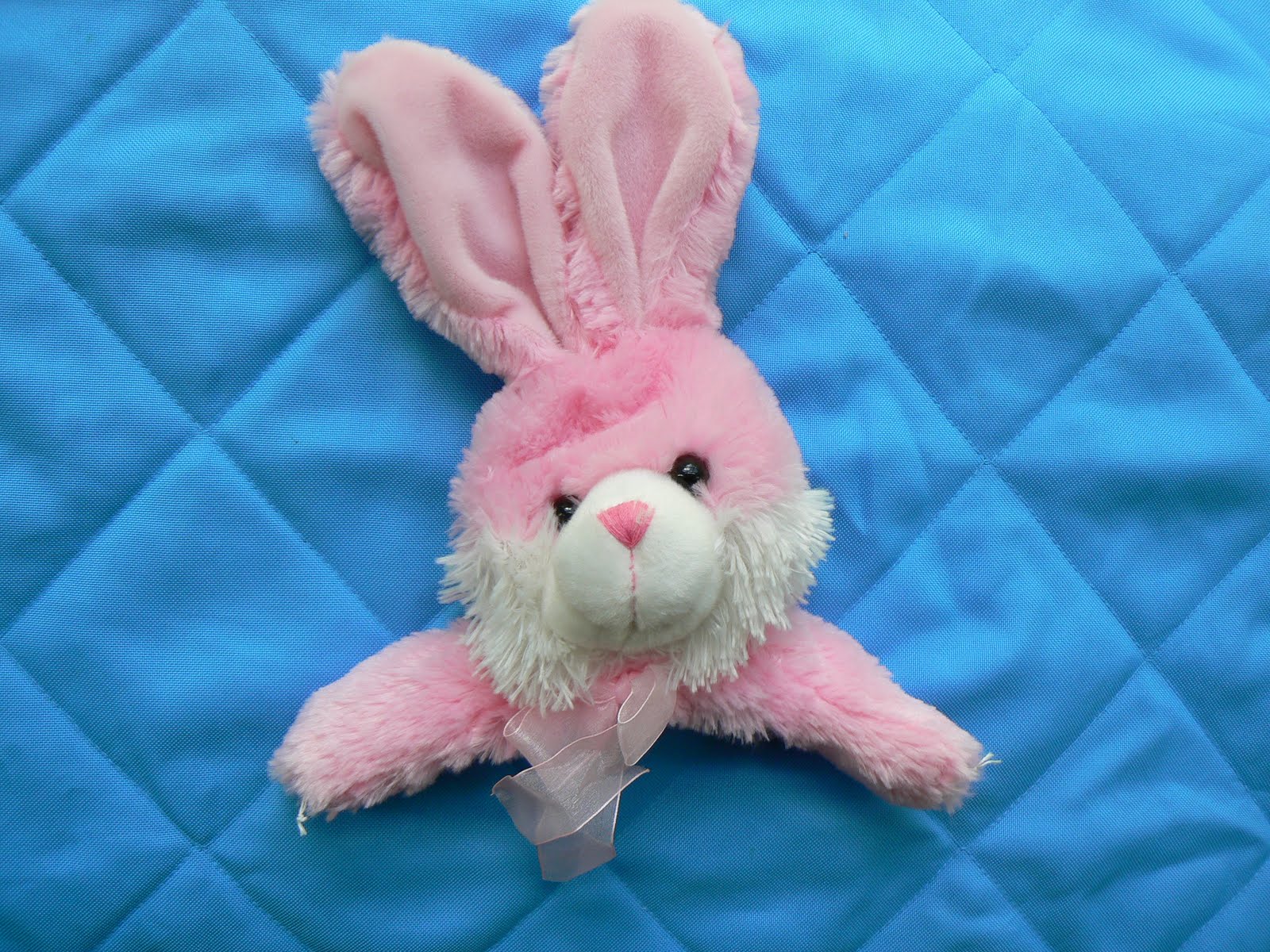 Having Fun at Home How to Make a Puppet out of a Stuffed Animal