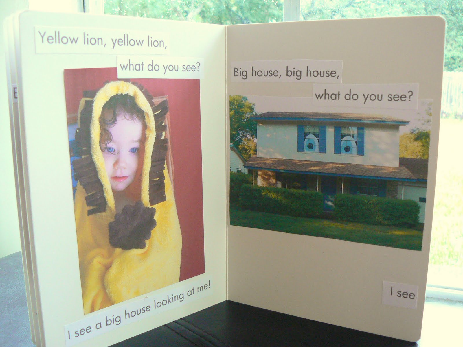 Having Fun at Home: Make a Brown Bear, Brown Bear Companion Book